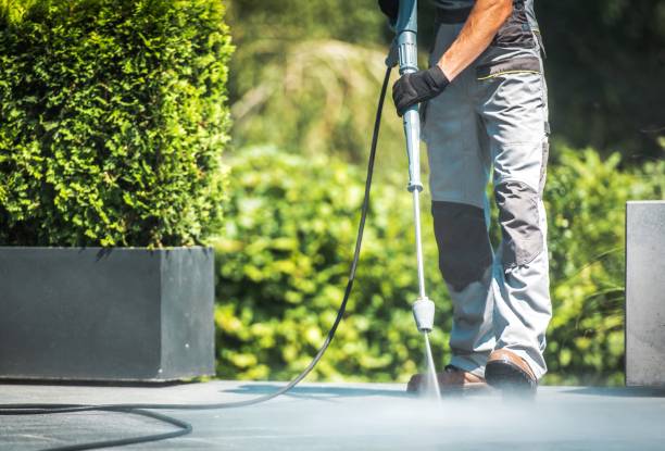 Best Roof Washing  in Wink, TX